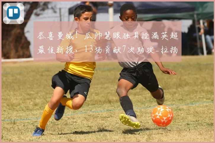 恭喜曼城!瓜帅慧眼独具捡漏英超最佳新援,13场贡献7次助攻_拉扬·谢尔基_比赛_统计数据显示